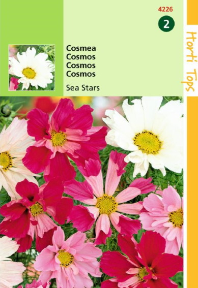 Cosmos Sea Stars Mix (Cosmos) 75 seeds HT